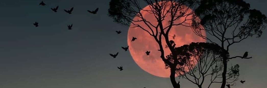 ‏﮼بنت ‏﮼القمر ‏ 's banner