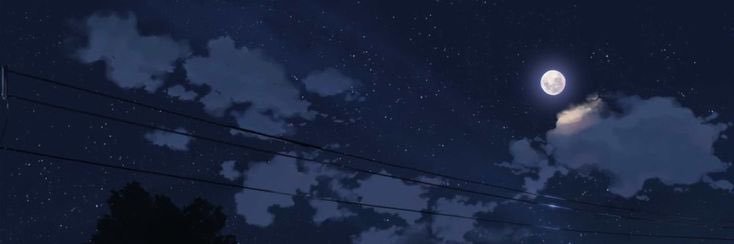 NaelieIrina's banner