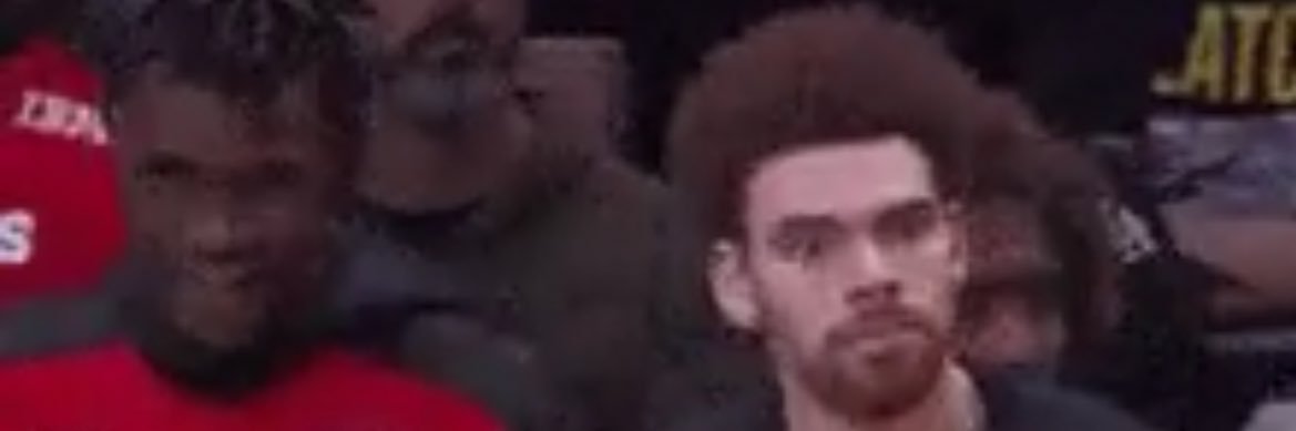 Deluded Raptors Fan's banner