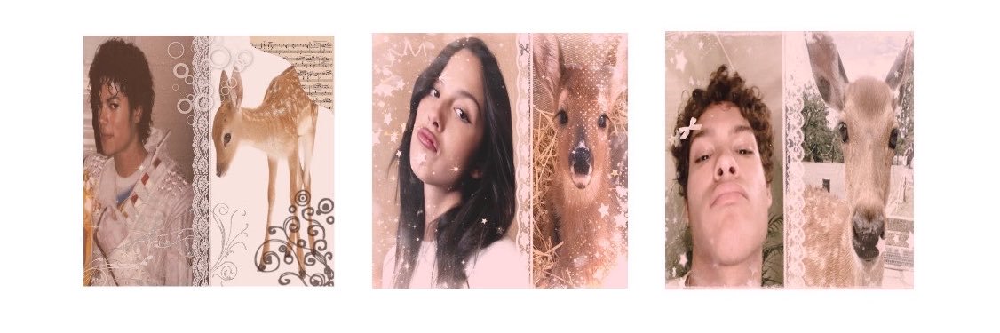 cha ❁'s banner