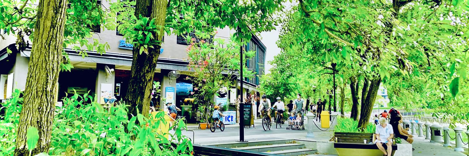 🇸🇬眠り@平和を献上する人's banner