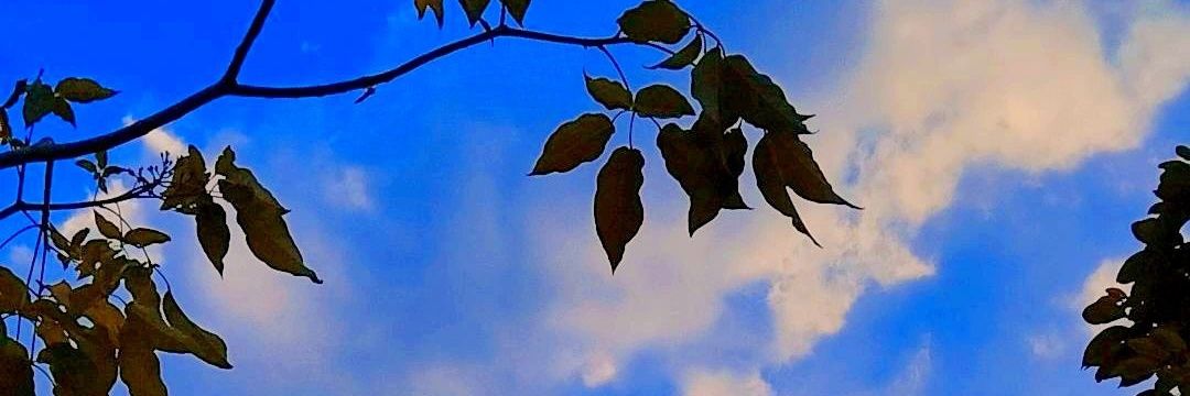 𝖜𝖎𝖋𝖊_𝖙𝖆𝖉𝖕𝖔𝖑𝖊❣️'s banner