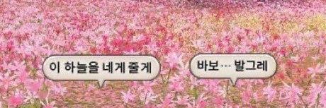 잡초's banner