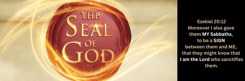 3 Angels Ministries's banner