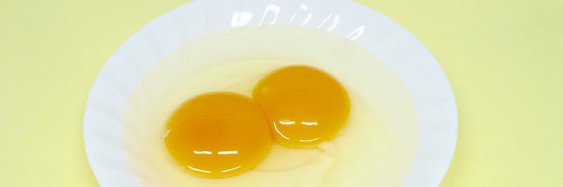 ダイタクの家's banner