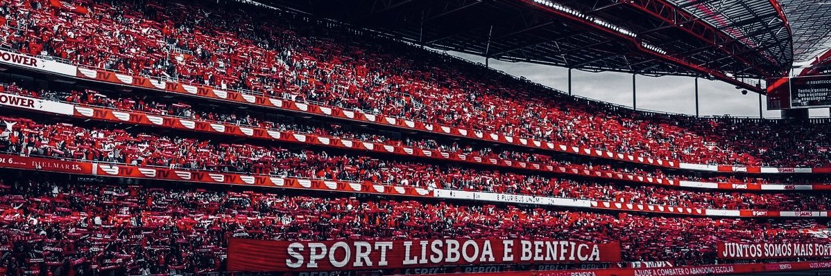 BONI's banner