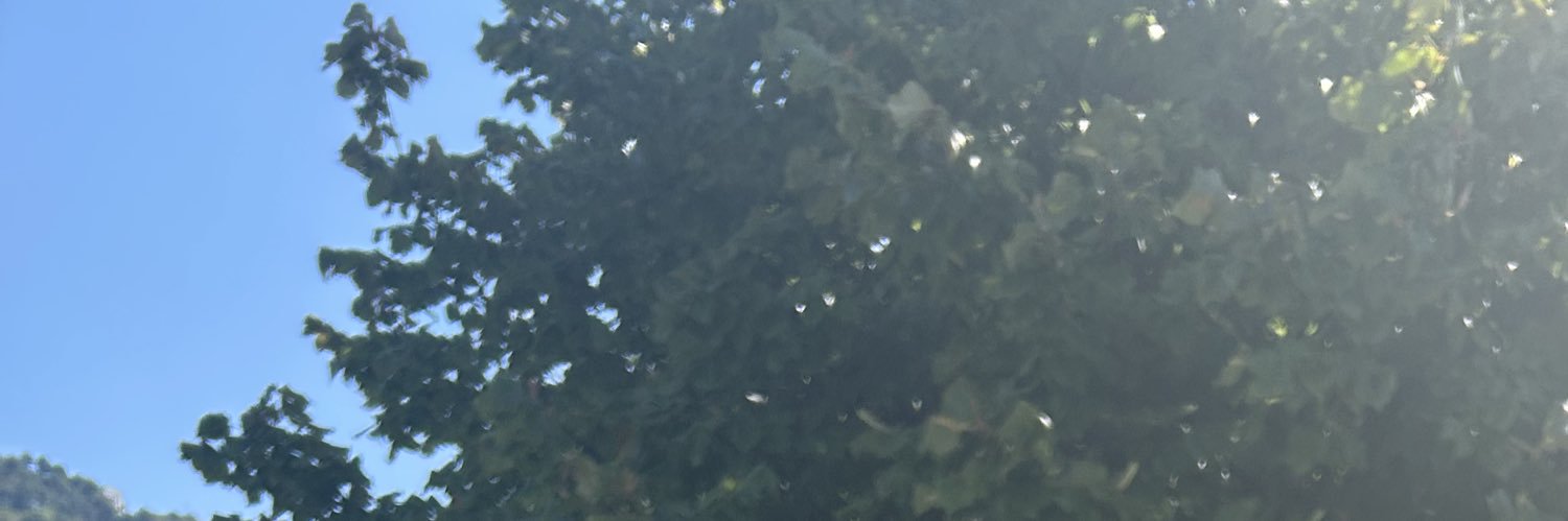aus 🐞's banner