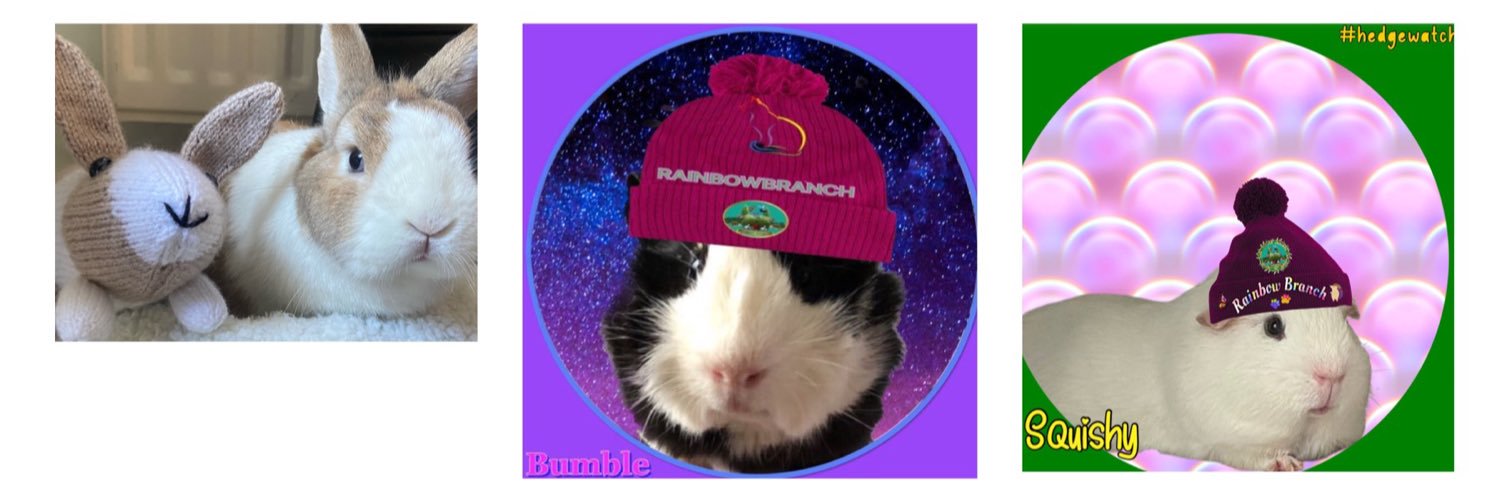 💞🐾💞 Isha 💞🐾💞's banner