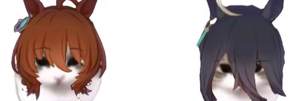 柒樹's banner