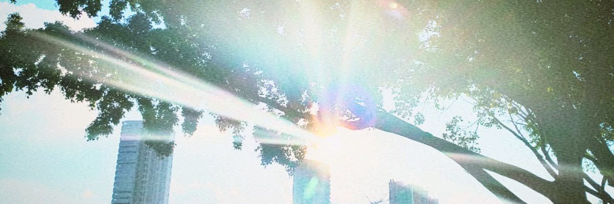 lolo zouaï pop supreme's banner