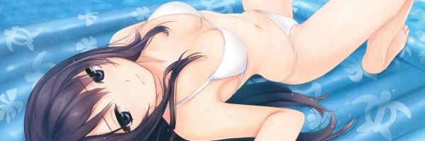 Paris's banner
