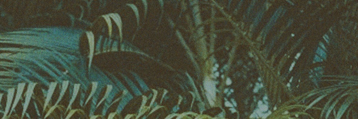 Azra's banner
