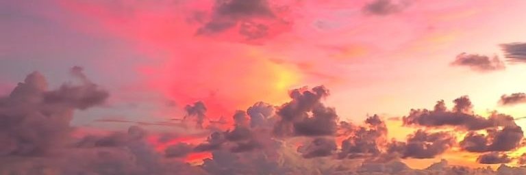 酒酿Lily姐's banner
