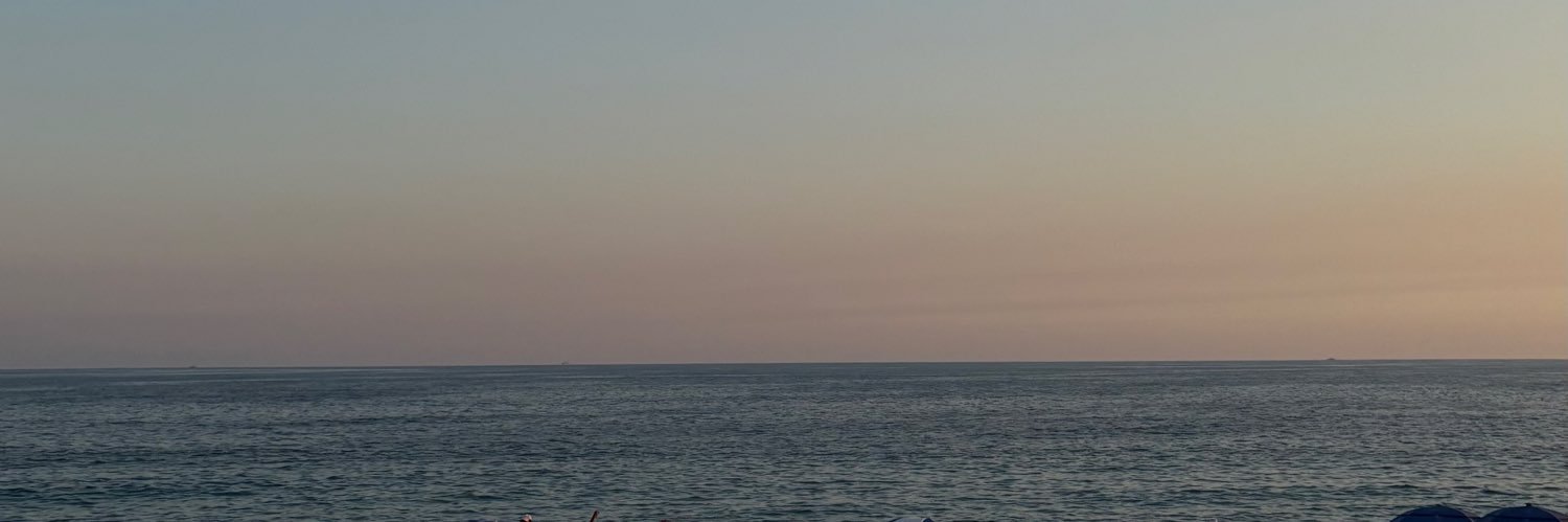 Surfy's banner