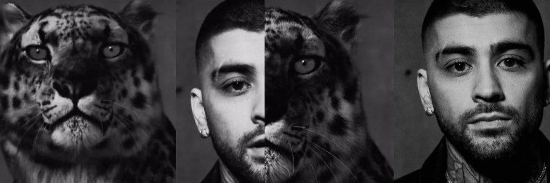 thalita 🐅's banner