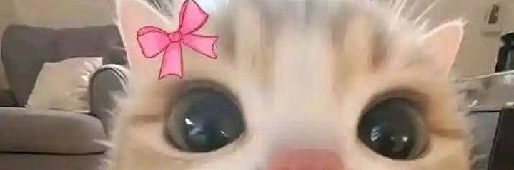 𝒽ℴ𝓁𝓁𝓈's banner