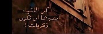 ابن زايد's banner