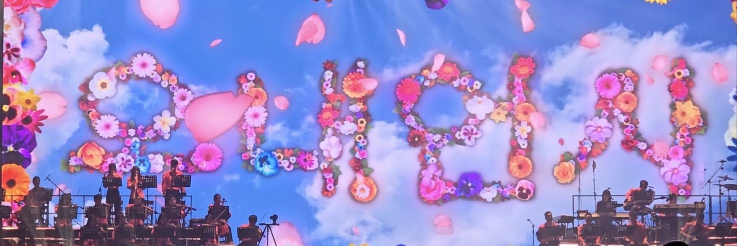 총명탕✨️'s banner