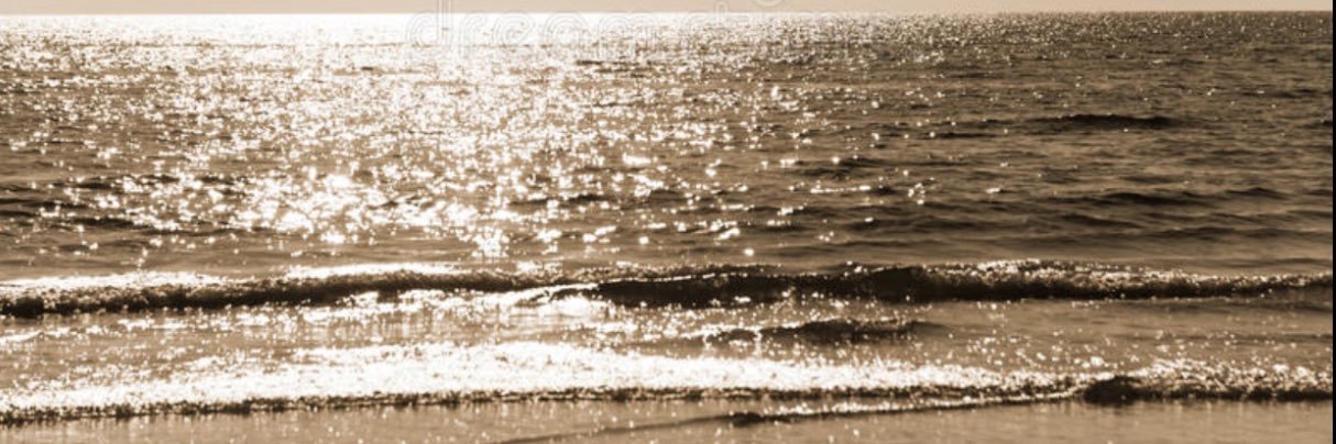 Ariadne Díaz ✨'s banner