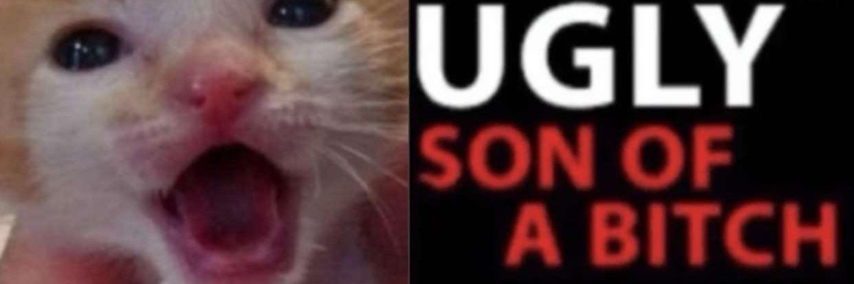 stickydacat's banner