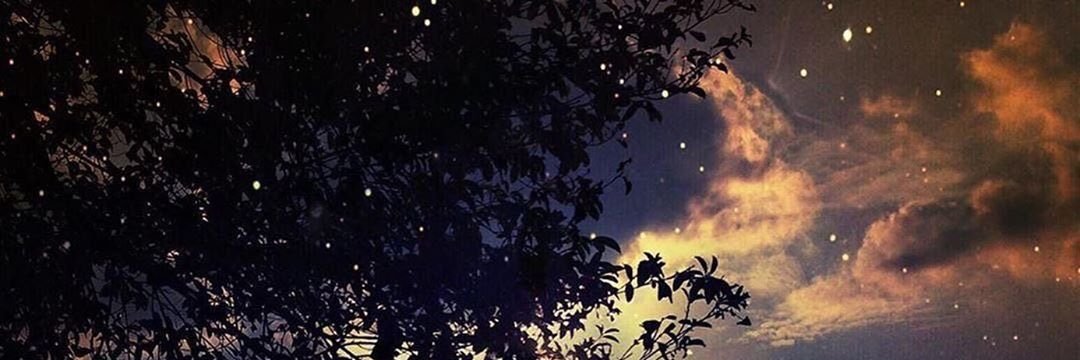 𝑺𝑨𝑳𝑬𝑯's banner