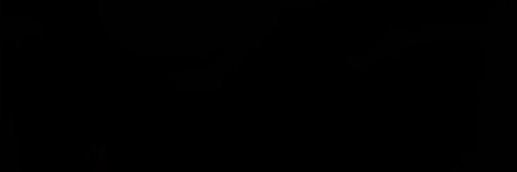 v1tor's banner