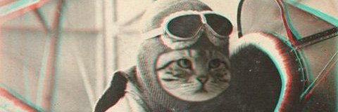 猫下+'s banner