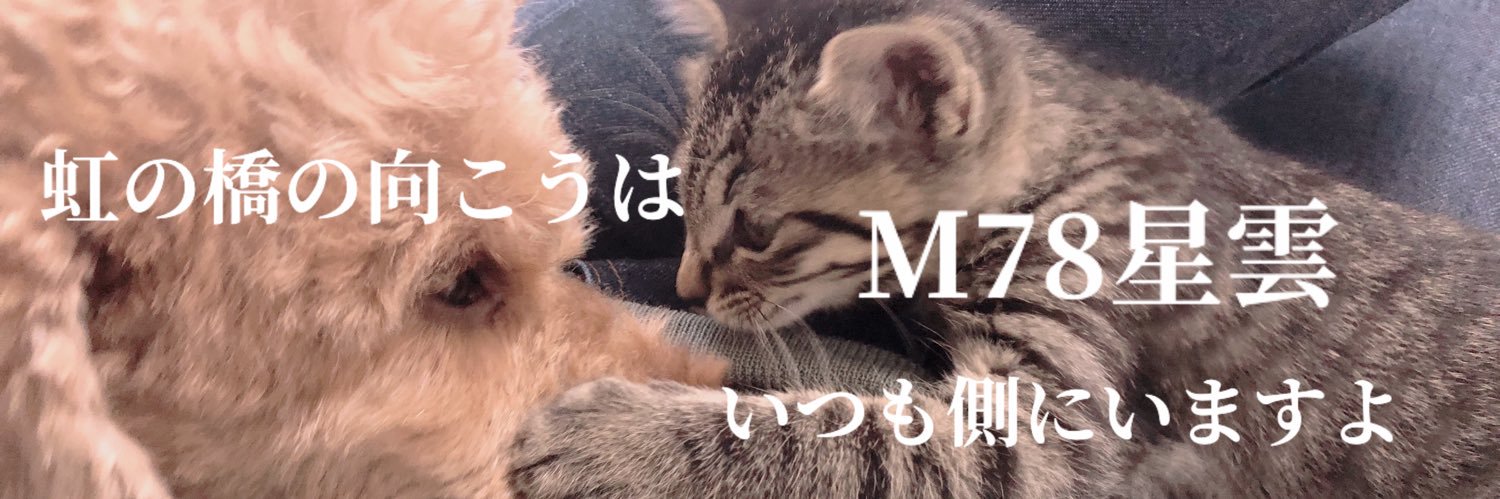 ステネコ成長日記's banner