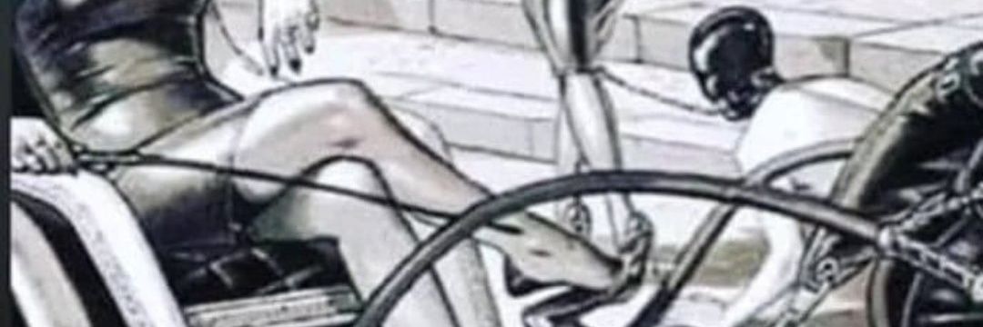 M∆ DOMIN∆🏳️‍⚧️FINDOM's banner