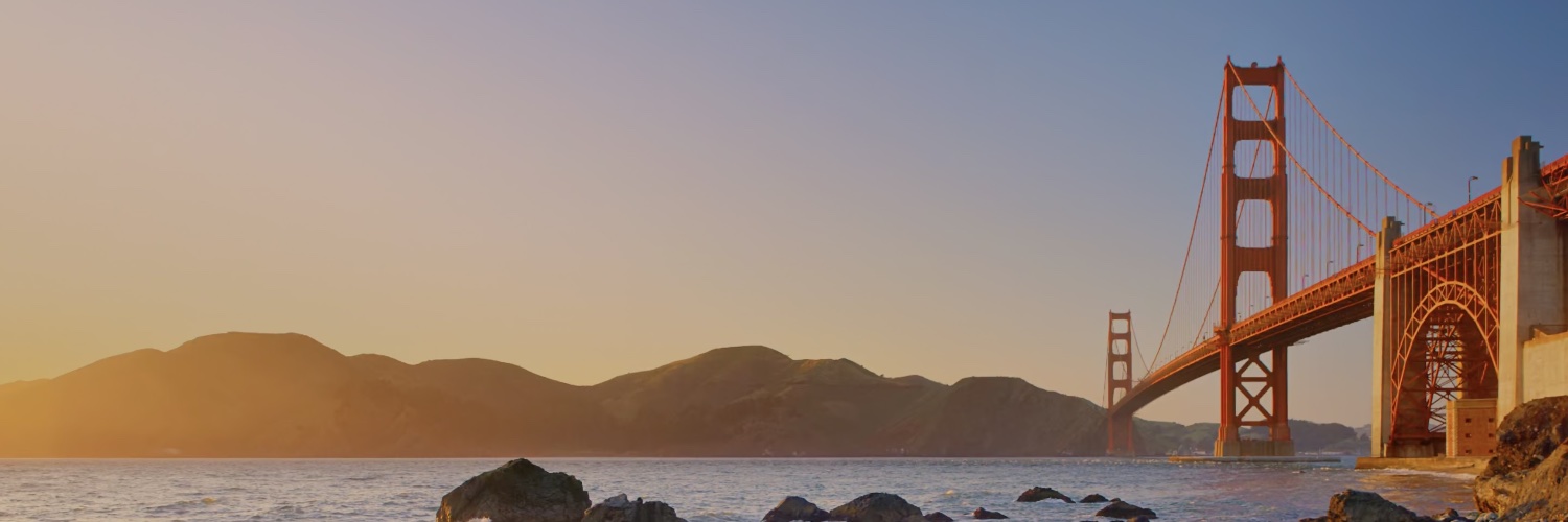 Savvy's banner