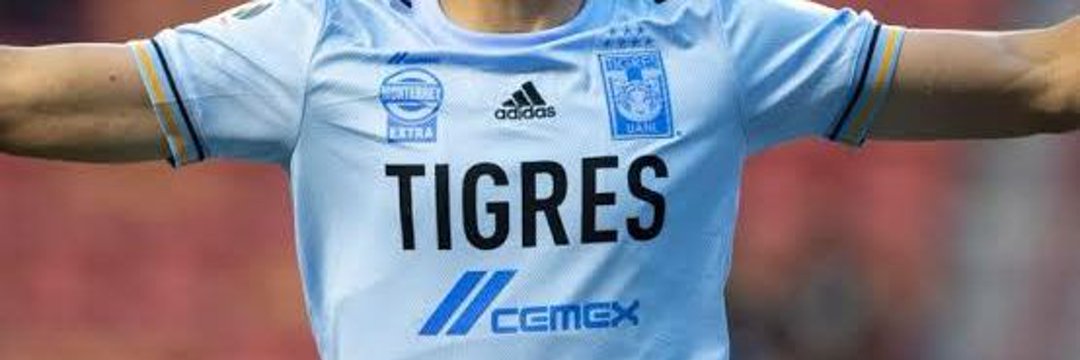 Tigre_TNT's banner
