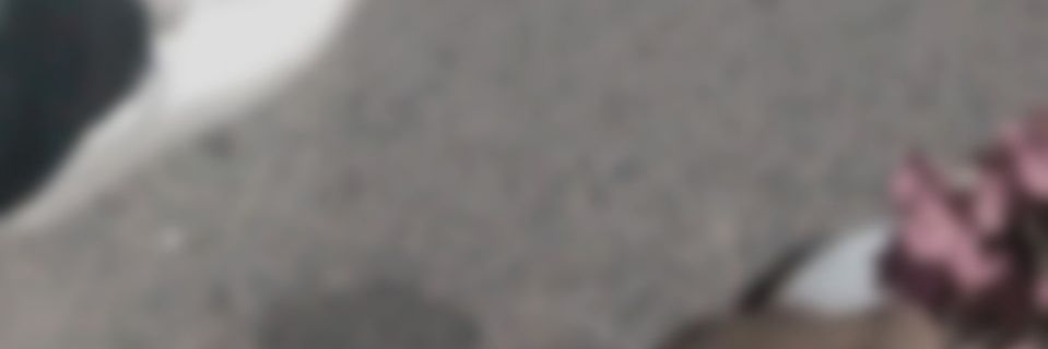 Zahra🧚🏻‍♀️'s banner