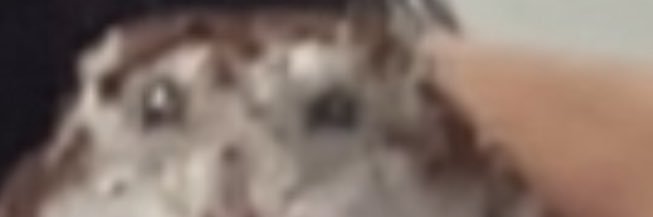 푸뭉's banner