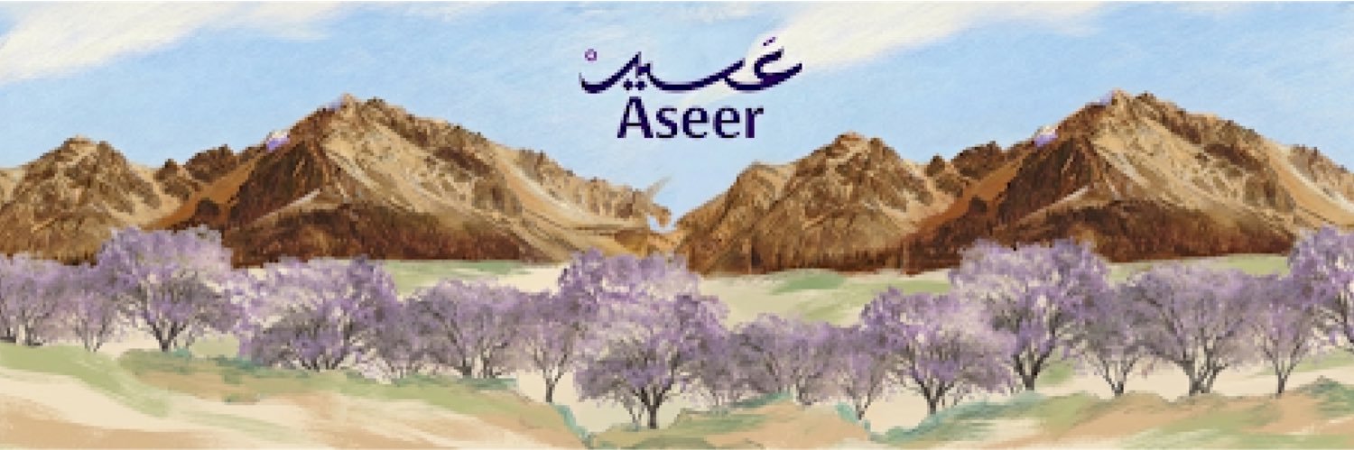 هيئة تطوير منطقة عسير's banner