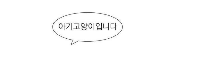 코코 🍚's banner
