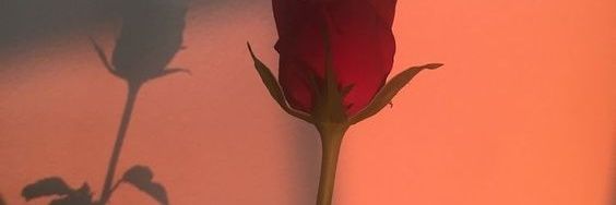 怀一是个大美女's banner