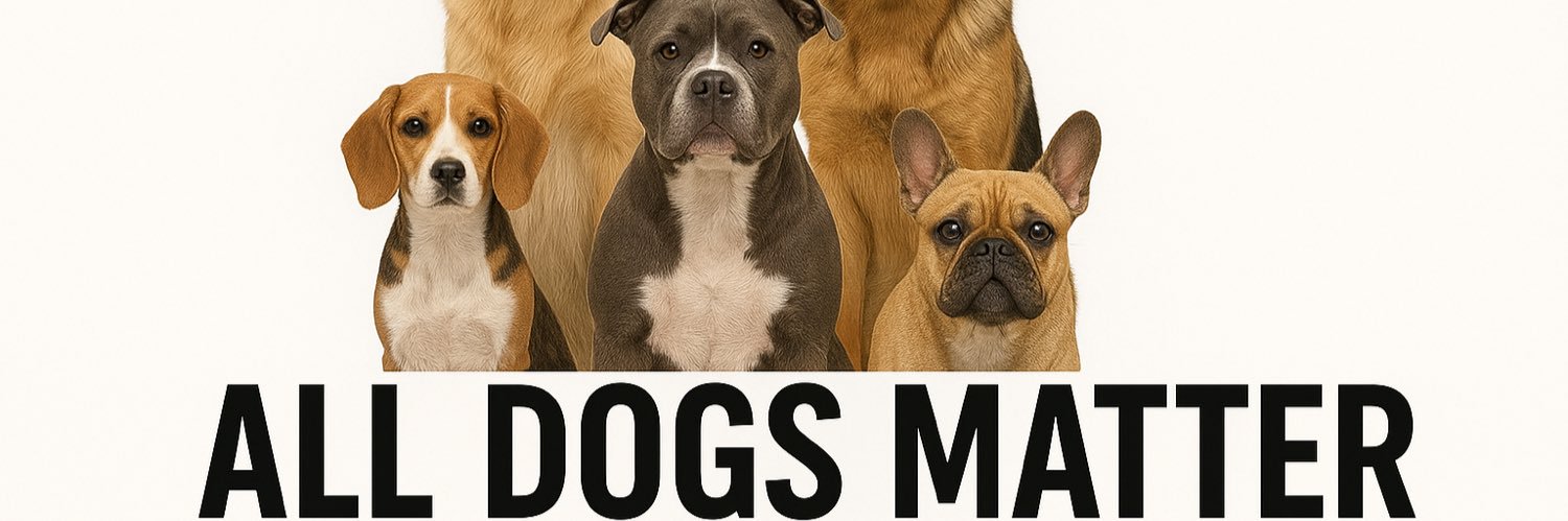 Somewherewithpaws's banner