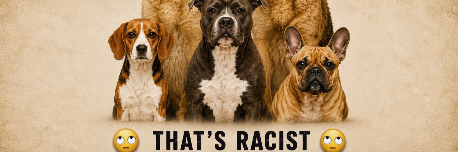 Somewherewithpaws's banner