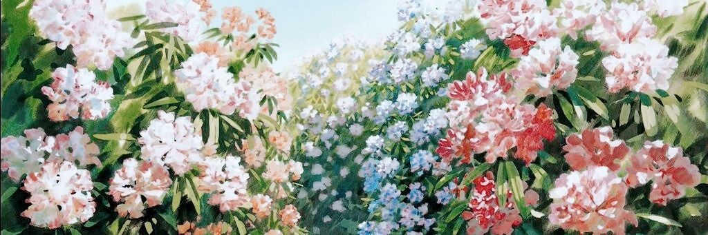 🍃 ยู | 𝕪 𝚘 𝚘 𝚕 𝚒 𝚎 ⊹'s banner