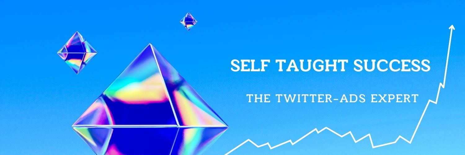 Self Taught Success's banner