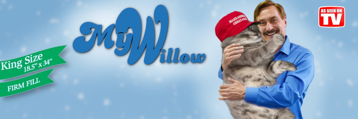 ᴍʏ ᴡɪʟʟᴏᴡ ᴍᴇᴍᴇꜱ🇺🇲's banner