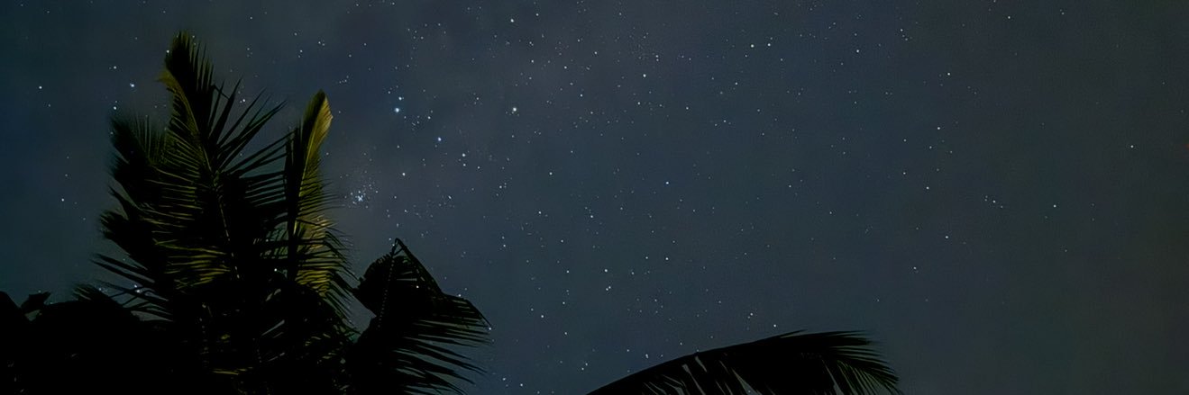 Bongmans Capital's banner