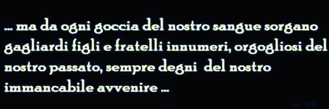 Ardito's banner