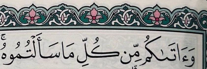 ميار ♡'s banner