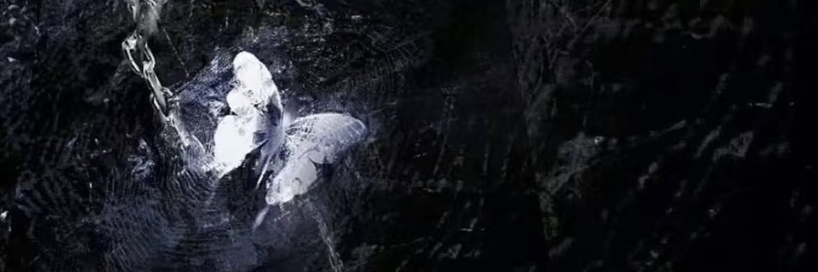 青崽's banner