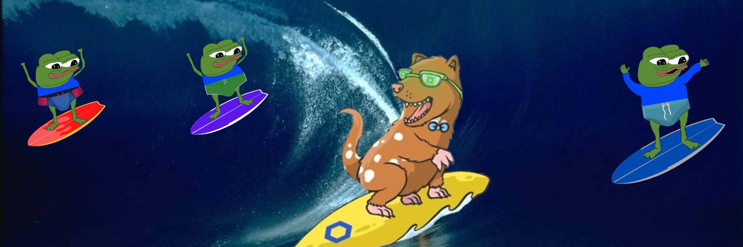 BowTiedQuoll | Surf's banner