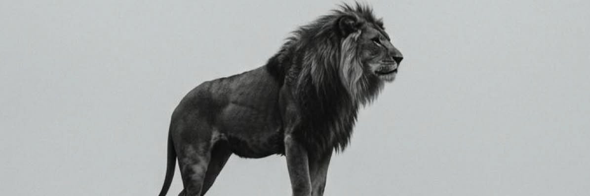 Alone's banner