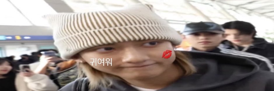 roxy ⋆˚࿔'s banner