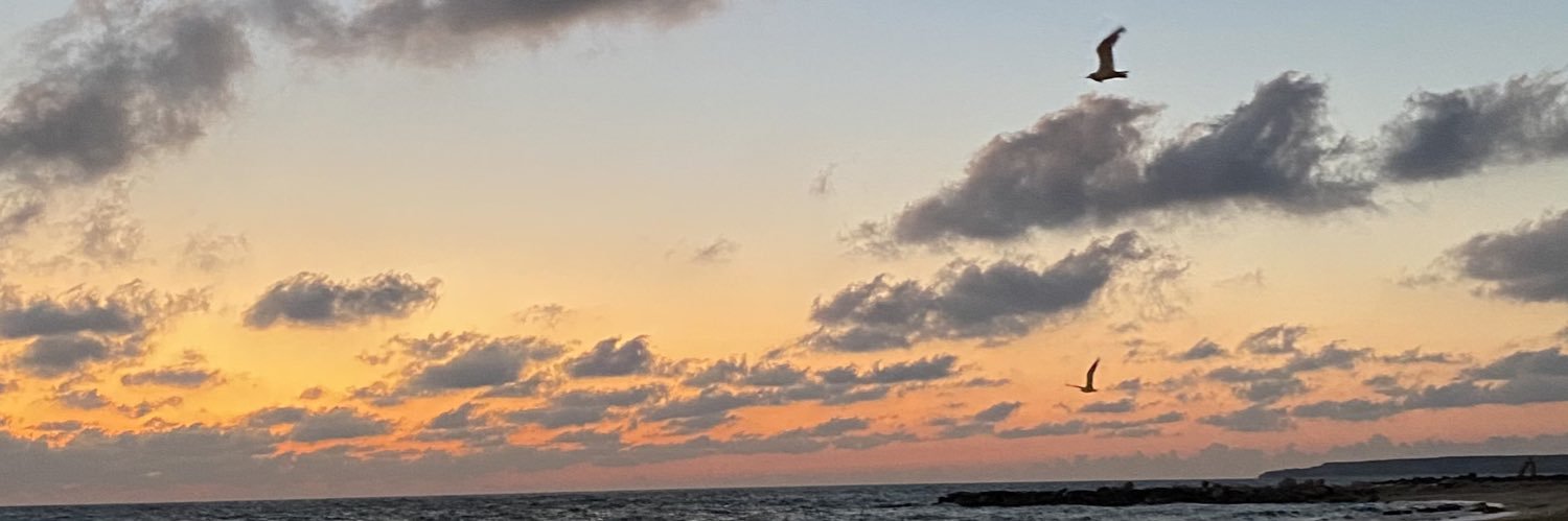 𝐄𝐥𝐢𝐟's banner