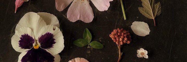 Irena Buzarewicz's banner